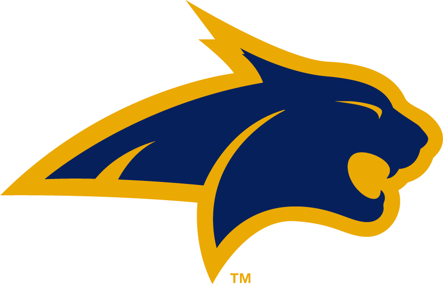 Montana State Bobcats 2006-2013 Alternate Logo diy iron on heat transfer
